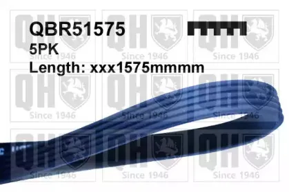 QBR51575 QUINTON HAZELL Поликлиновой ремень