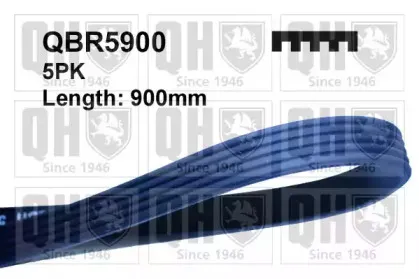 QBR5900 QUINTON HAZELL