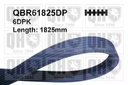 QBR61825DP QUINTON HAZELL