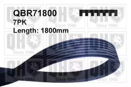 QBR71800 QUINTON HAZELL