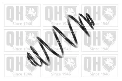 quintonhazell-qcs5813