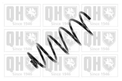 quintonhazell-qcs7833