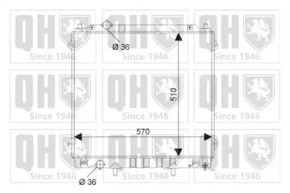 quintonhazell-qer2196