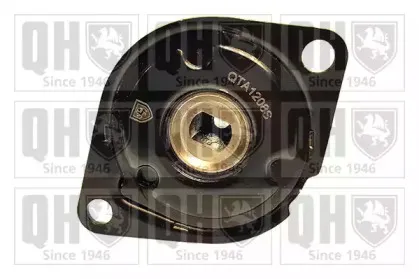 QTA1208S QUINTON HAZELL Натяжная планка, поликлиновой ремень