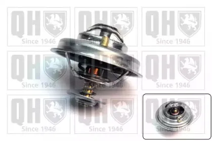 quintonhazell-qth352