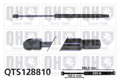 QTS128810 QUINTON HAZELL Газовая пружина, крышка багажник