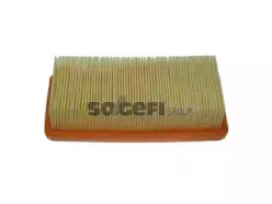 CA10088 FRAM Воздушный фильтр