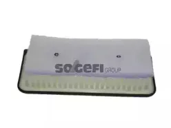 CA10296 FRAM Воздушный фильтр