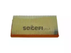 CA10333 FRAM Воздушный фильтр