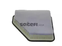 CA10596 FRAM Воздушный фильтр