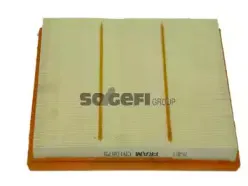 CA10879 FRAM Воздушный фильтр