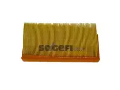 CA4556 FRAM Воздушный фильтр