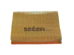 CA5109 FRAM Воздушный фильтр
