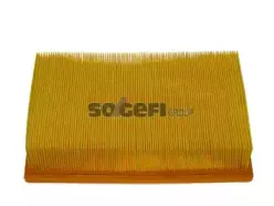 CA5377 FRAM Воздушный фильтр