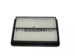 CA5945 FRAM Воздушный фильтр