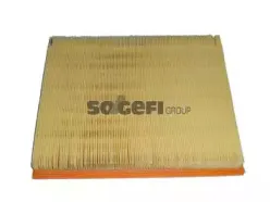 CA8821 FRAM Воздушный фильтр