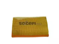 CA9103 FRAM Воздушный фильтр