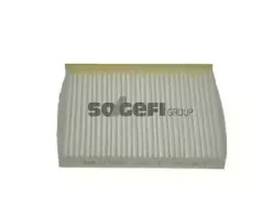 CF10025 FRAM Фильтр, воздух во внутренном пространстве