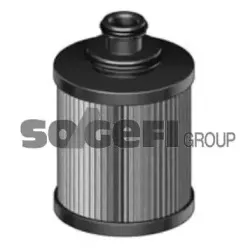 fram-ch10751eco