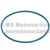 3.32038.00.0 PIERBURG Прокладка, датчик уровня топлива