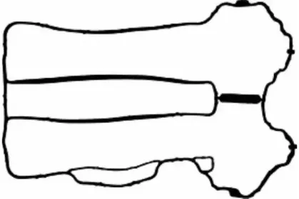 50-029185-00 GOETZE Прокладка, крышка головки цилиндра