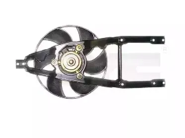 tyc-8090019