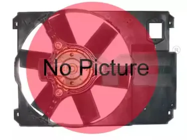 tyc-8250016