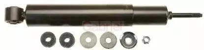 gabriel-2755