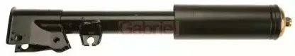 gabriel-35986