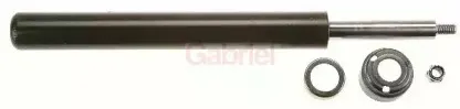 gabriel-44486