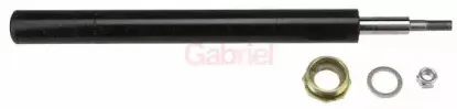 gabriel-44487