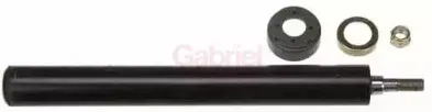 gabriel-44751