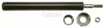gabriel-44774