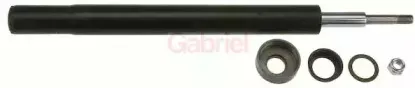 gabriel-44862