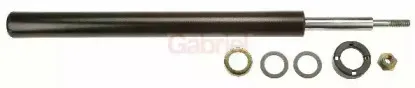 gabriel-44890