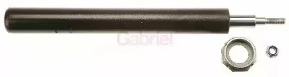 gabriel-44903