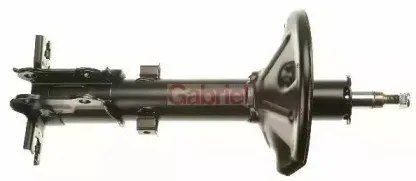 gabriel-55874