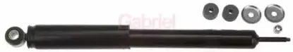 gabriel-69439