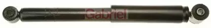 gabriel-69480