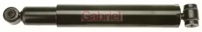 gabriel-7146
