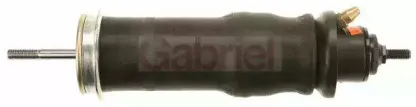 gabriel-9006