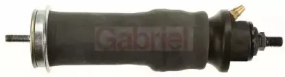 gabriel-9007