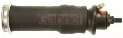 gabriel-9008