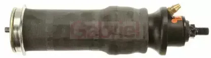 gabriel-9009