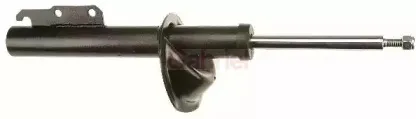 gabriel-g35145