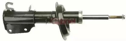 gabriel-g35156
