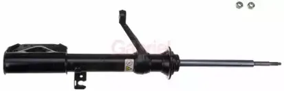gabriel-g35161