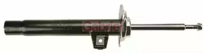 gabriel-g35469