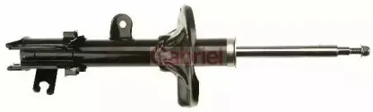 gabriel-g37896