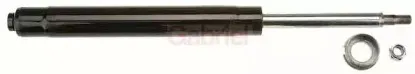 gabriel-g44982